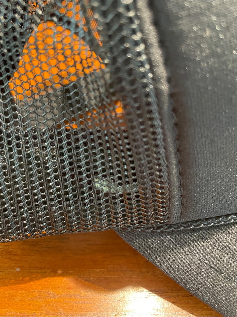 Aviator Nation black Malibu trucker hat - Picture 12 of 12